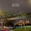 홍콩