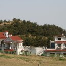 으뜸제주