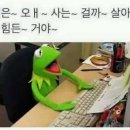 더힐링 이미지