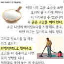 집에서 러그 세탁하는 방법 이미지