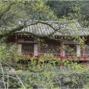 자연정 이미지