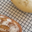 달나라 토끼 이미지