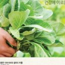 로운 NC강서점 네이버블로그