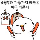 레츠고블럭