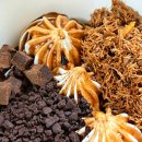 뚜레쥬르소래포구역점 이미지