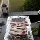 안면도가족펜션소나무별장 이미지