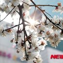 시나브로 이미지