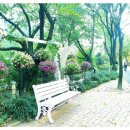 대공원나들길 이미지