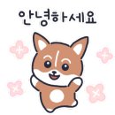 스시키타이 이미지