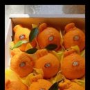 다미농장 이미지