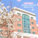 천안 아산 벚꽃놀이 선문대학교 개화시기와 벚꽃 명소 추천