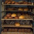 제빵기능사 이미지