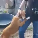 와락 이미지