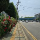 하나아파트 버스정류장 이미지