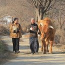 지축농장 이미지