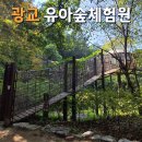 광교중앙공원 네이버블로그