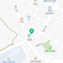 코스모수선 이미지