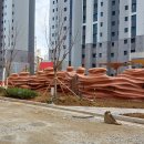대광물산 Daum카페