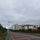 조한일 시인의 시차 없이 시 읽기 무단횡단/ 최재남 시인 이미지