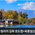 (주)산바라기투어
