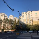 방배쇼핑센터 맞은편 이미지