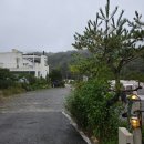 육송로10번길 8 | [포천] 청계호수 자작나무 숲 캠핑장 호수 뷰 명당 2번 내돈내산 우중캠핑 후기