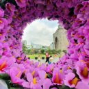 무궁화메디컬 이미지