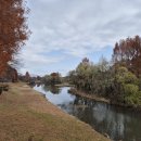 장자호수공원 이미지