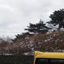 영남카클리닉 이미지