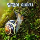슈퍼드림 | 한국 허벌라이프 2024년 봄 슈퍼드림팀 페스티벌 후기