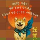 홍춘천치즈닭갈비 이미지