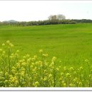 공음농장 이미지