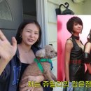김은정 카카오 검색결과