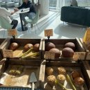 제주 트윈즈 이미지