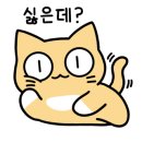 풍혈산캠핑장 이미지