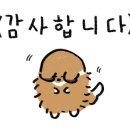 레디코너