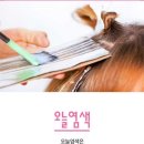 오늘염색 이미지