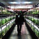부산Fish 이미지