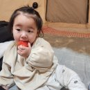 보령팜플러스 | [보령여행] 아이와 같이 가기 좋은 보령팜 체험농장 보령팜플러스 이용후기