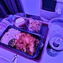 1303 | [이집트] 인천-도하(QR859), 도하-카이로(QR1303) 카타르항공 이코노미 후기 +입국신고서