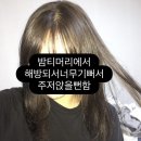 안정아 | 회피하기로 마음먹기