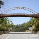 대동하늘공원 이미지