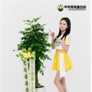 칙칙폭폭플라워