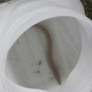 이곡마을회관 이미지