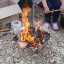 산새소리물소리 이미지