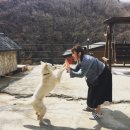 로쏘하우스 이미지