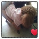 코오롱애견 이미지