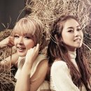 YOON 헤어 이미지
