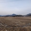학산경로당 Daum카페