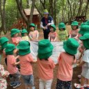 숲 활동🌳🌿- 물의 순환(물방울의 여행)💦💧, 하늘소, 매미 관찰 이미지